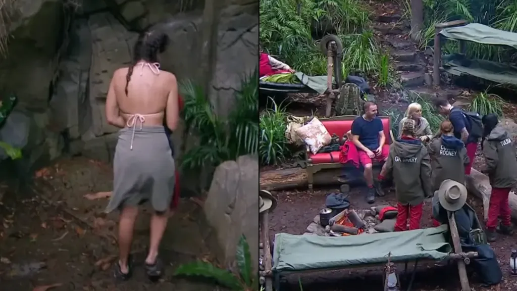 Truth about the I'm A Celeb shower after Ant and Dec make confession over 'fake' jungle