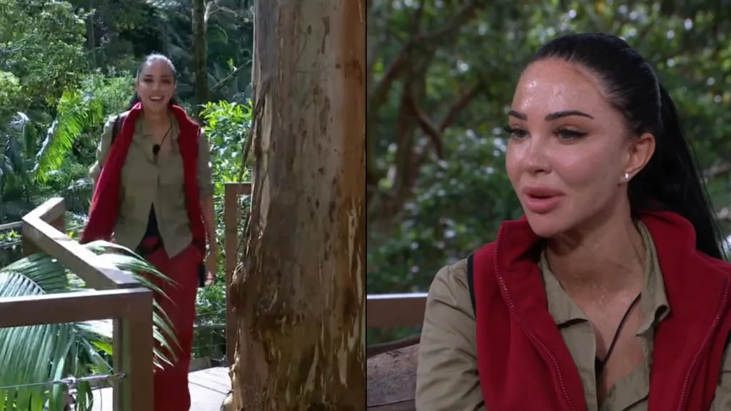 Tulisa breaks silence to 'clear things up' after deleting all I'm A Celeb posts and missing spin-off show