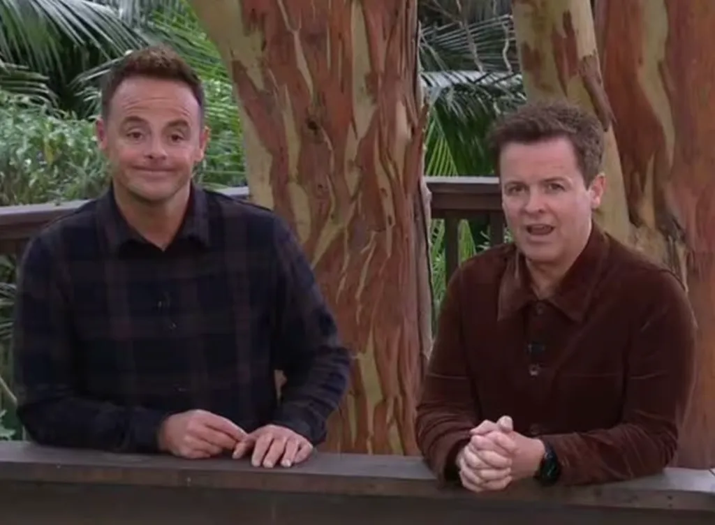 Ant és Dec leleplezik az I’m A Celeb rejtélyt-1