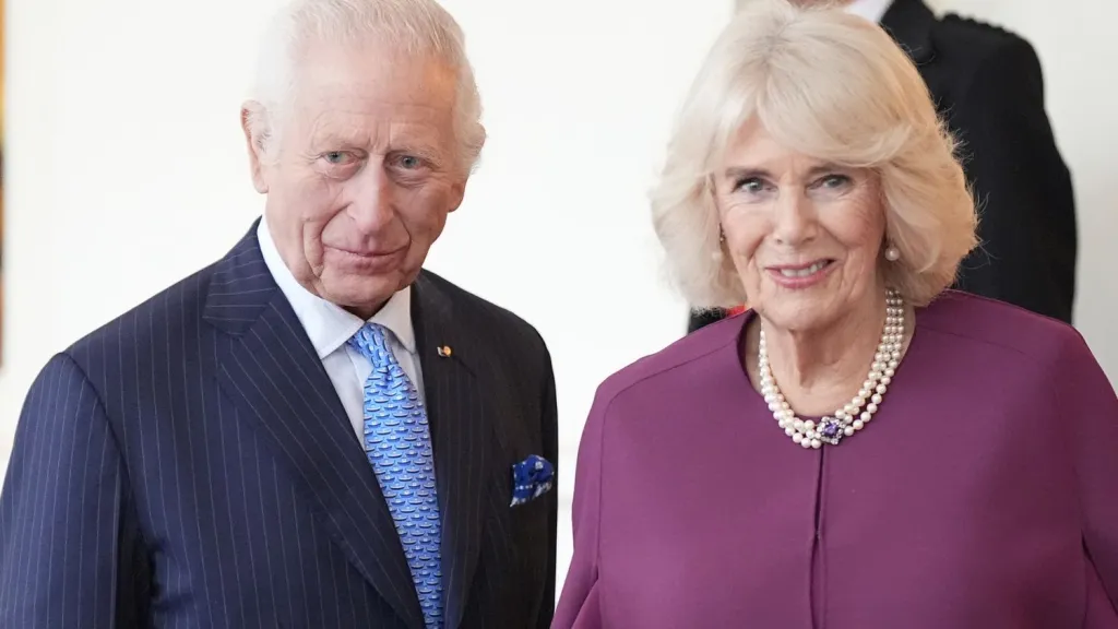 Queen Camilla's Amethyst Necklace Sent a Hidden Message About Her Health