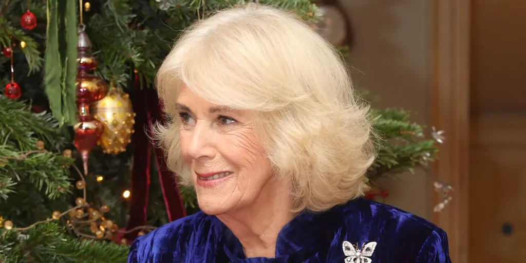 Queen Camilla's Blue Velvet Holiday Dress Featured a Meaningful Detail