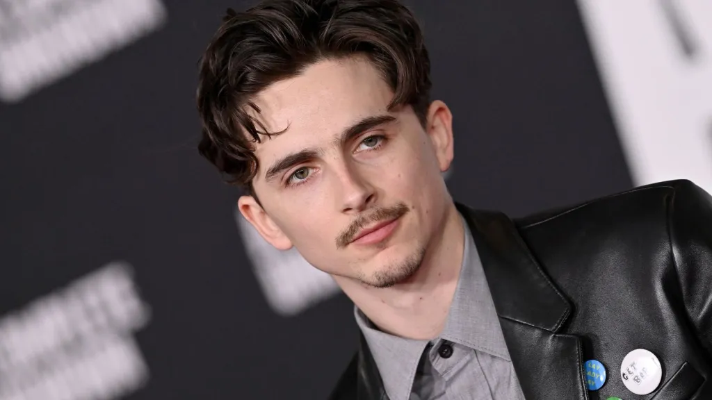 Timothée Chalamet Channeled Bob Dylan With a Blonde Hair Transformation on the Red Carpet