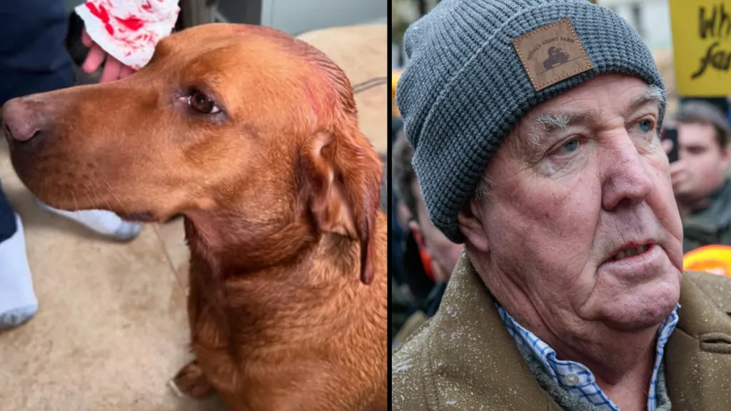 Fans concerned after Jeremy Clarkson's dog left covered in blood as Lisa issues statement