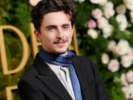 Why Fans Think Timothée Chalamet Raided Kylie Jenner's Daughter Stormi's Closet