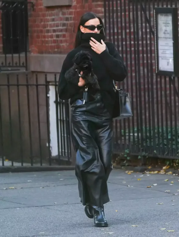 Irina Shayk stílusosan sétáltatja kutyáját New Yorkban-3