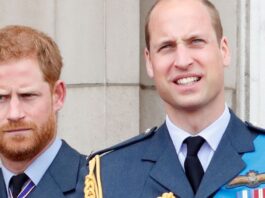 This Unexpected Royal Has Played "Peacekeeper" in Prince William and Prince Harry's Rift