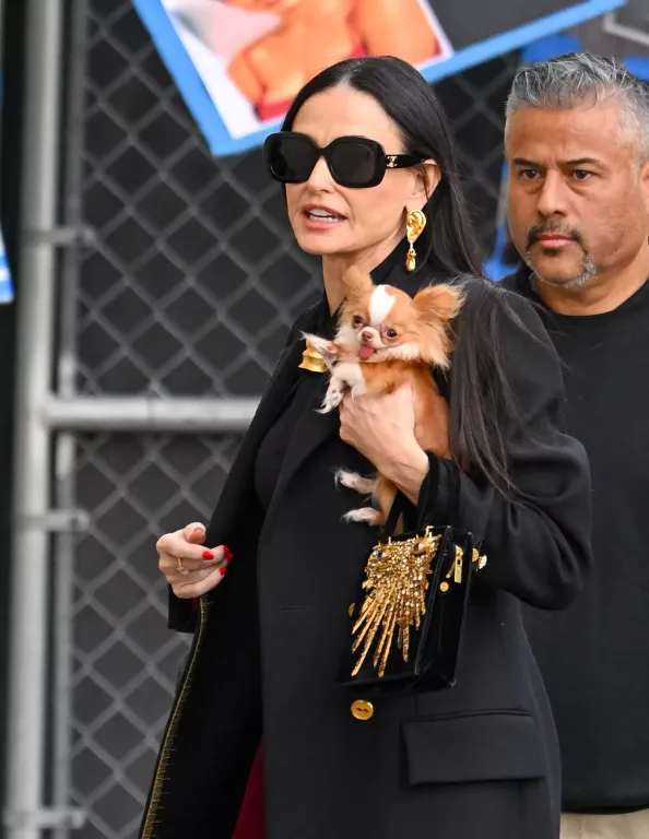Demi Moore és Pilaf: Stílusos páros a vörös szőnyegen-3