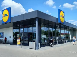 lidl szobanövény