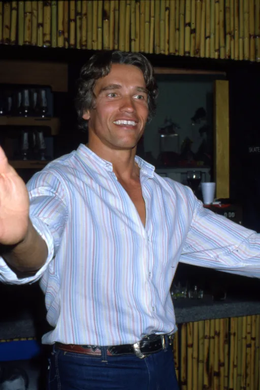 Schwarzenegger: Milliárdos színész, aki 5 éve nem forgatott-2