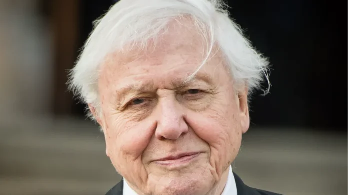 David Attenborough made drastic diet change years ago as he looks to ‘live past 100’