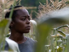 40 Acres: Új perspektíva a posztapokaliptikus filmekben