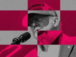 Trump költségvetési terve veszélyezteti a zöld energiát