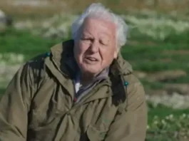 David Attenborough's crew broke his one rule while filming tragic scene