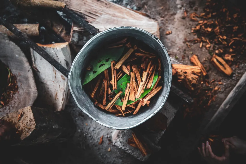 Joe Rogan sokkoló vallomása az Ayahuasca-élményről-1