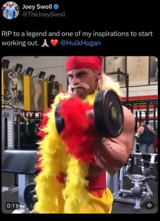 Joey Swoll kilép a netről Hulk Hogan botrány miatt!-2