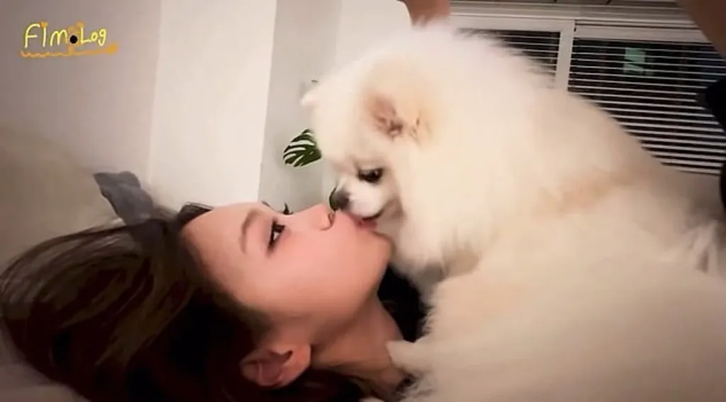 Sokk: Kim Chaewon franciásan csókolózik kutyájával!-1