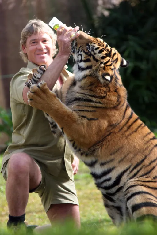 Steve Irwin utolsó szavai: ‘Meghalok’ a kamerán-1