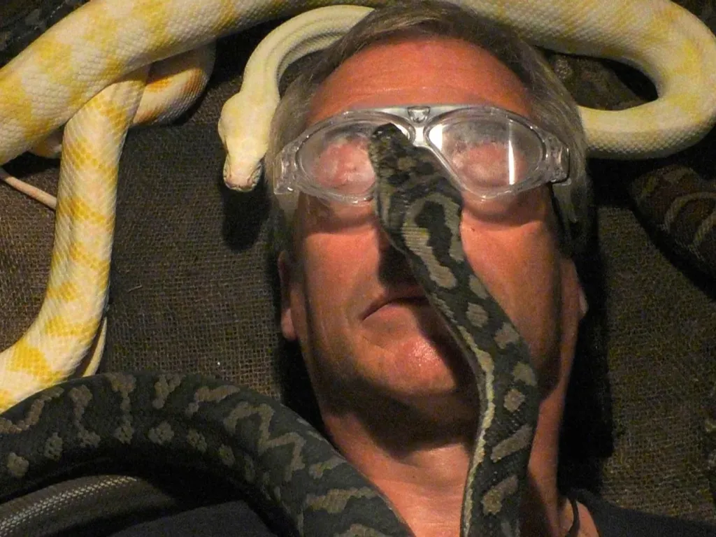 Milliós gázsikat kaptak: I’m A Celeb legjobban fizetett sztárjai-2