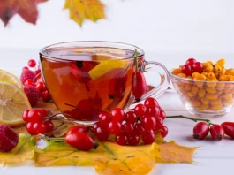 homoktövis és csipkebogyó őszi immunerősítők