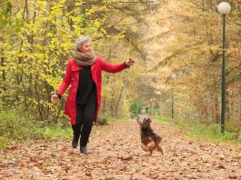 10%-kal több lépés: Séta egészségvédő ereje télen Középkorú nő az őszi erdőben a kutyájával sétál