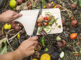 Elhasznál, maradék zöldségeket szór valaki egy komposztos gödörbe