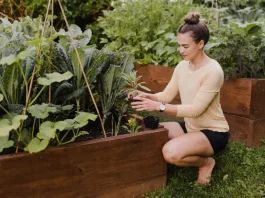 szép nő dolgozik a kertben magaságyást gondoz