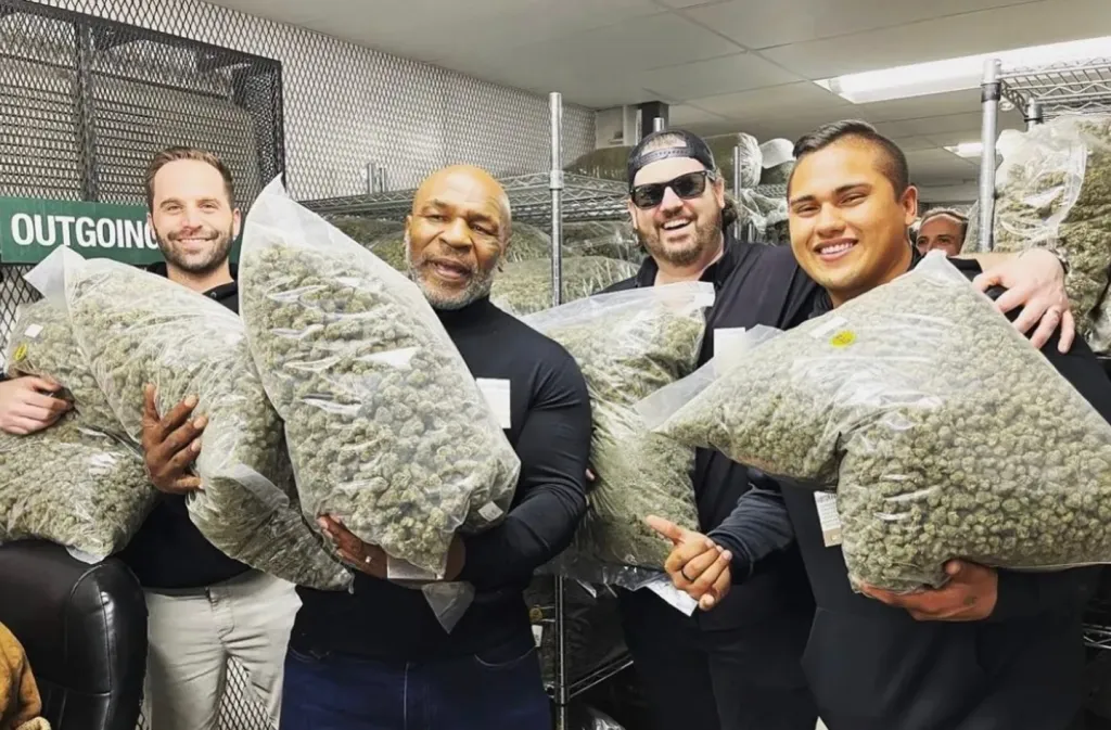 Mike Tyson családja könyörög: Füveljen újra!-1