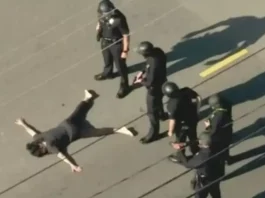 Wife of Weezer's Scott Shriner files for divorce months after 'opening fire on police officers'