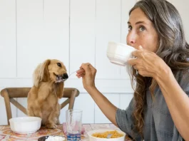 zöld kávét iszik egy középkorú nő reggel a kutyájával