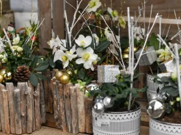 fehér hunyor karácsonyi dekoráció ötlet