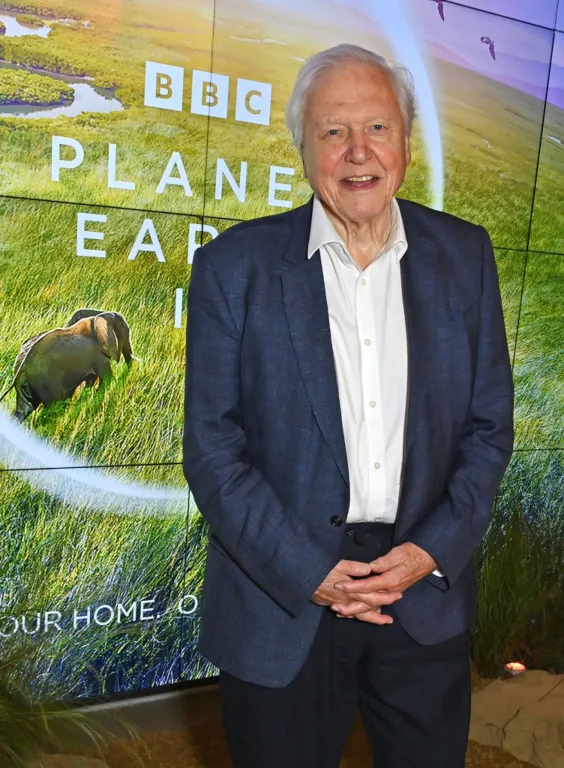 Attenborough 100 éves titka: Mi segít neki élni?-2