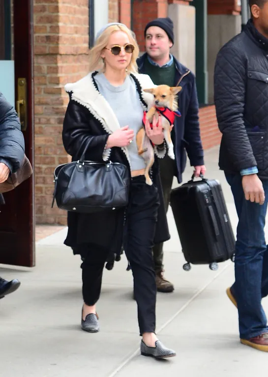 Sokk: Jennifer Lawrence miért adta le kutyáját anyaság után?-1