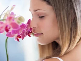 Orchidea télen: Tea a vitalitásért! Egy lány illatozza az orchideáját