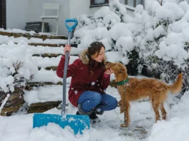 Hogyan védi a hó a kertedet télen? Hasznos tippek nő kutyával havat lapátol a kertben