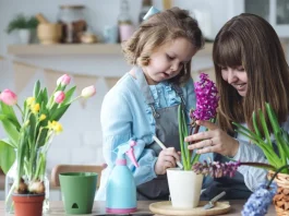 anya és lánya tavaszi hagymás összeültetést készít